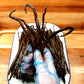 Wonky Madagascan Vanilla Pods (200g)